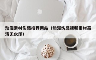 赵县动漫素材伤感推荐网站（动漫伤感视频素材高清无水印）